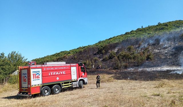 Kocaeli'de çıkan örtü yangını söndürüldü