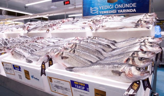 Metro Premium'dan yüksek Omega 3 değerine sahip levrek ve çipuralar