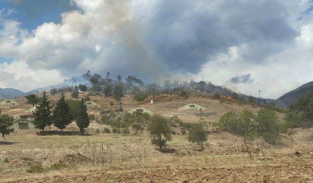 Sakarya'da askeri kışladaki ağaçlık alanda çıkan yangın kontrol altına alındı