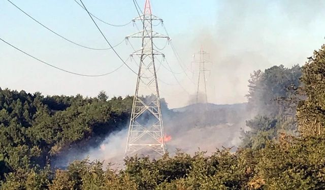 Sakarya'da ormanlık alanda çıkan yangın kontrol altına alındı