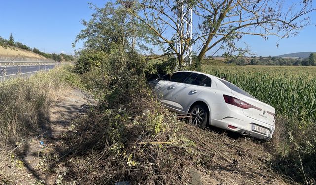 Sakarya'da tarlaya giren otomobil ağaca çarptı