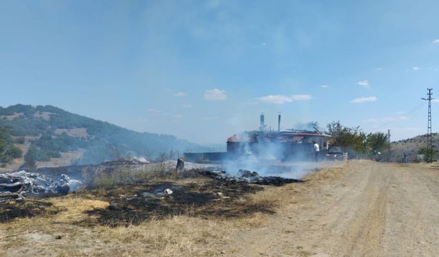 Tokat'ta çıkan yangında 5 ev hasar gördü