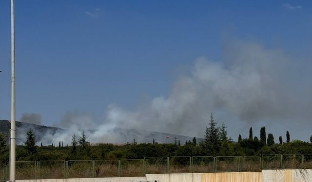 Tuzla'da askeri alanda yangın çıktı