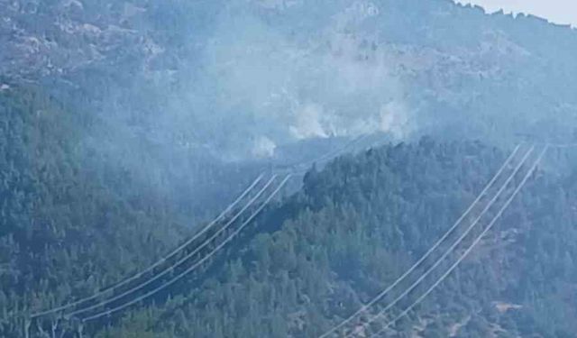 Adana’da orman yangınına müdahale eden helikopter düştü