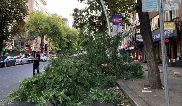 Ağaç dalının araçların üzerine düştüğü anlar kameraya yansıdı