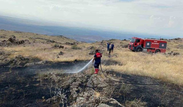 Ağrı Dağı eteklerinde çıkan örtü yangını söndürüldü