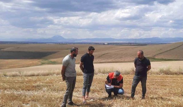 Ağrı’da anız yangınlarına karşı sıkı önlem