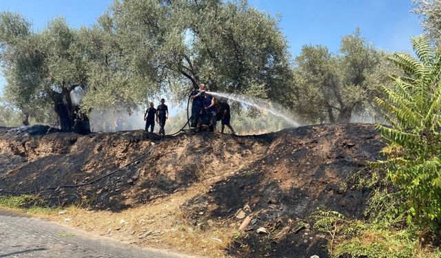 Alevlerin antik kente ulaşmasını itfaiye ekiplerinin hızlı müdahalesi önledi