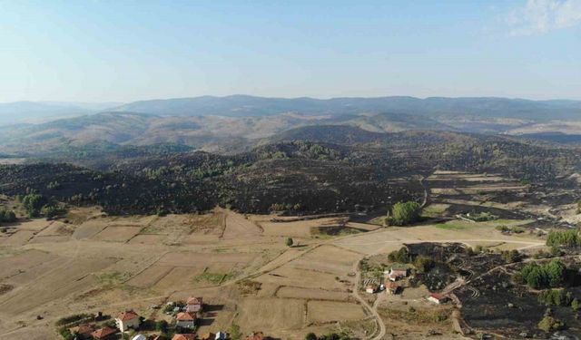 Ankara-Bolu sınırında yanan bölge dronla görüntülendi