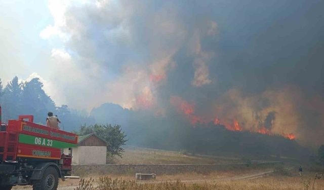 Ankara Kızılcahamam’da ormanlık alanda yangın çıktı