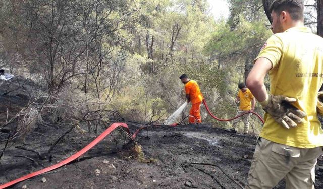 Antalya Kemer’de çıkan orman yangını kontrol altına alındı