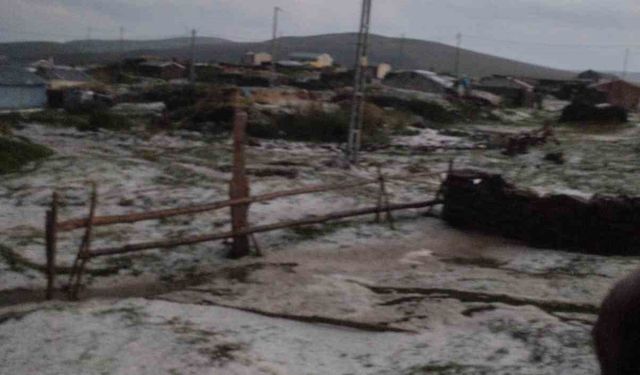 Ardahan beyaza büründü, Ağustos ayında şaşırtan görüntü