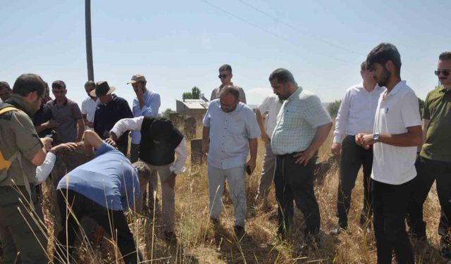 Arkeologlar Mollakent’teki tarihi yerleri gezdi