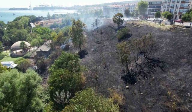 Avcılar’da otluk alanda çıkan yangın yeşili siyaha çevirdi, alan havadan görüntülendi