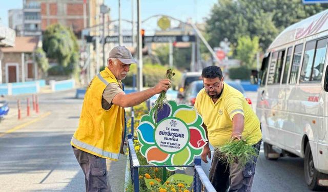 Aydın Büyükşehir Belediyesi’nden çevre bakımı seferberliği