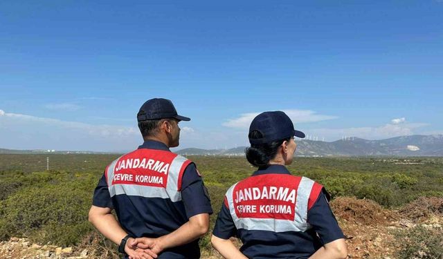 Aydın’da jandarma ekiplerinden Bafa Gölü’ndeki kuş ve balık türlerini korumak için yoğun denetim