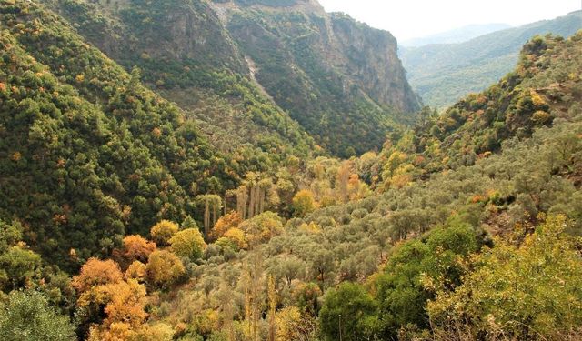 Aydın’ın doğa harikası Koçak Kanyonu, özgün klimasıyla ilgi odağı olmaya devam ediyor