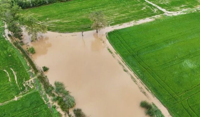 Bafra Ovası’nda tarım arazileri sular altında