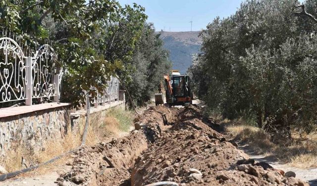 Balıkesir’de, 80 bin zeytin ağacı suyla buluştu