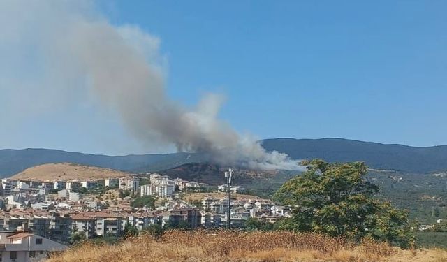 Balıkesir’de orman yangını