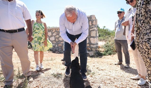 Başkan Şadi Özdemir, sokak hayvanları için hazırlanan projeyi inceledi