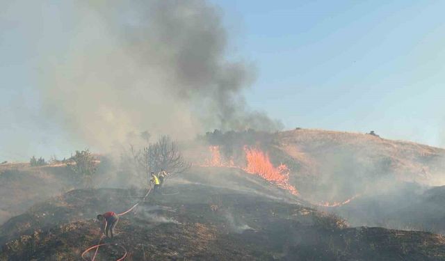 Bingöl’de iki bölgede çıkan orman yangını söndürüldü