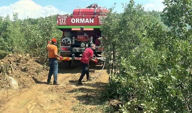 Bingöl’deki orman yangını erken müdahaleyle büyümeden söndürüldü