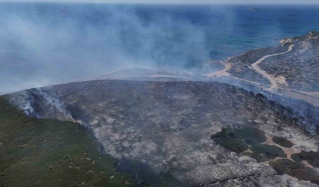 Bozcaada’daki orman yangını dron ile görüntülendi