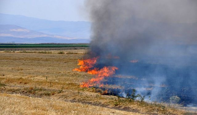 Bulanık’ta tüm uyarılara rağmen çiftçiler anız yakmaya devam ediyor