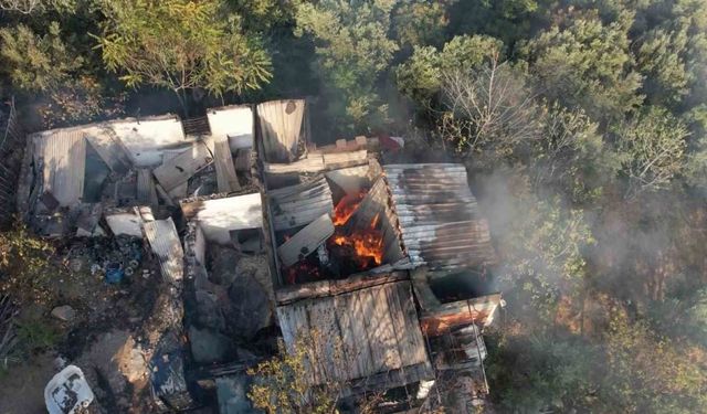 Bursa’da zeytinlik alandaki yangın söndürüldü