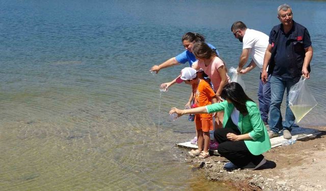 Çanakkale’de baraj ve göletlere 1 milyon 750 bin sazan yavrusu bırakıldı