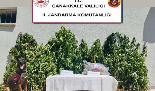 Çanakkale’de uyuşturucu operasyonu