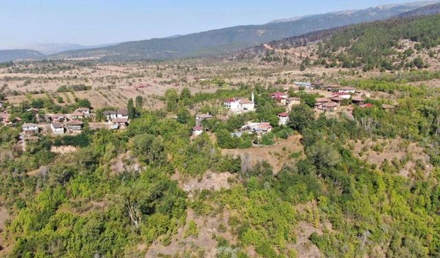 Çankırı’da orman yangını sebebiyle tahliye edilen köylerdeki vatandaşlar evlerine döndü