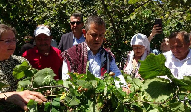 CHP Lideri Özel’den ’fındık fiyatı’ eleştirisi: “Hızla revize edilmeli"