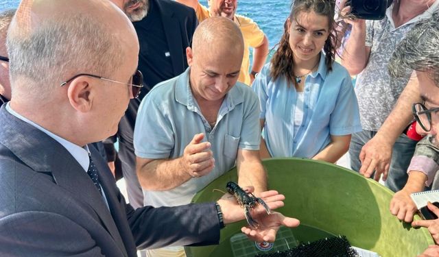 ÇOMÜ’nün Istakoz Yetiştirme Projesine YÖK Başkanı’ndan Destek