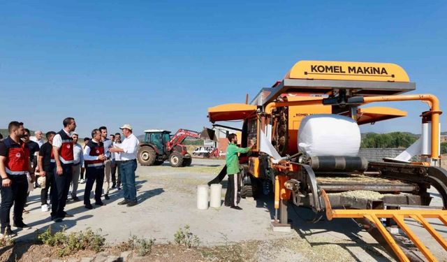 Devlet desteğiyle çiftçinin masrafı azaldı, silajlık mısır üretimi 128 bin tona ulaştı