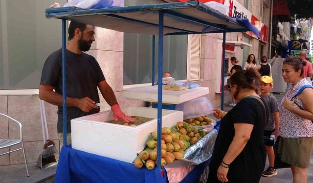 Dikenli incir tezgahlarda yerini aldı: Tanesi 10 lira