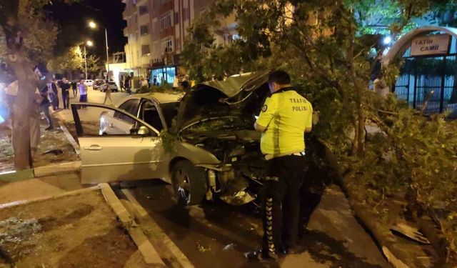 Direksiyon hakimiyetini kaybetti, ağaca çarptı: 4 yaralı