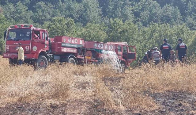 Domaniç‘te yıldırım düşmesi sonucu yangın çıktı