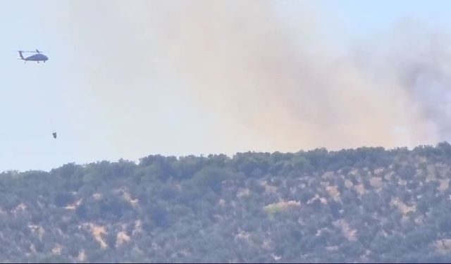 Erdek’te orman yangını, havadan ve karadan müdahale ediliyor