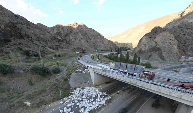 Freni boşalan tır devrildi: 1 ölü