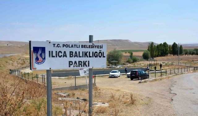 Gazi balıklar yok olma tehditi altında