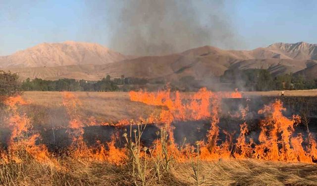 Gevaş’ta ot yangını