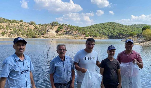 Gözkayası Göleti’ne sazan yavruları bırakıldı