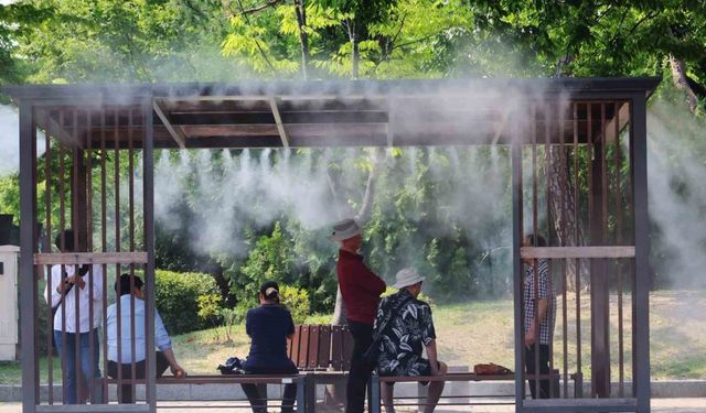 Güney Kore’deki aşırı sıcaklarda can kaybı 28’e yükseldi