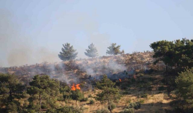 Hatay’daki orman yangınına havadan helikopterler ve uçakla müdahale ediliyor