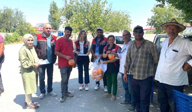 Iğdır’da Akdeniz meyve sineği ile mücadele devam ediyor