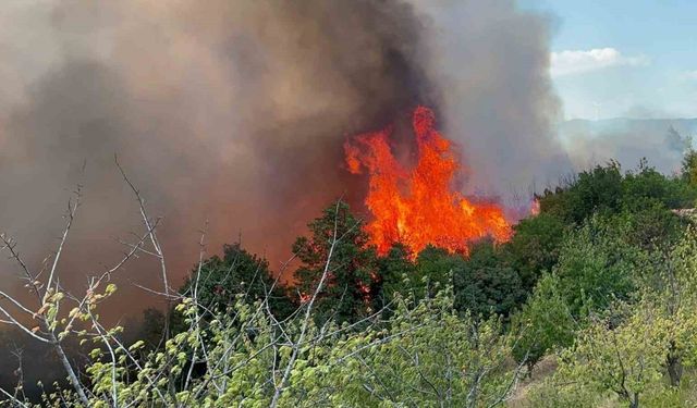 İznik’te çıkan orman yangınına 6 uçak ve 3 helikopter müdahale ediyor