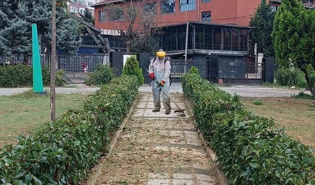 Kağıthane Belediyesi peyzaj çalışmaları hızla devam ediyor