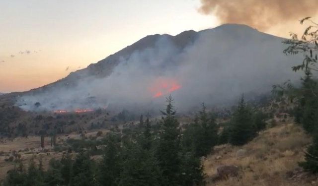 Kahramanmaraş’taki orman yangını kontrol altına alındı